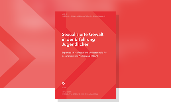 Cover zu Sexualisierte Gewalt in der Erfahrung Jugendlicher