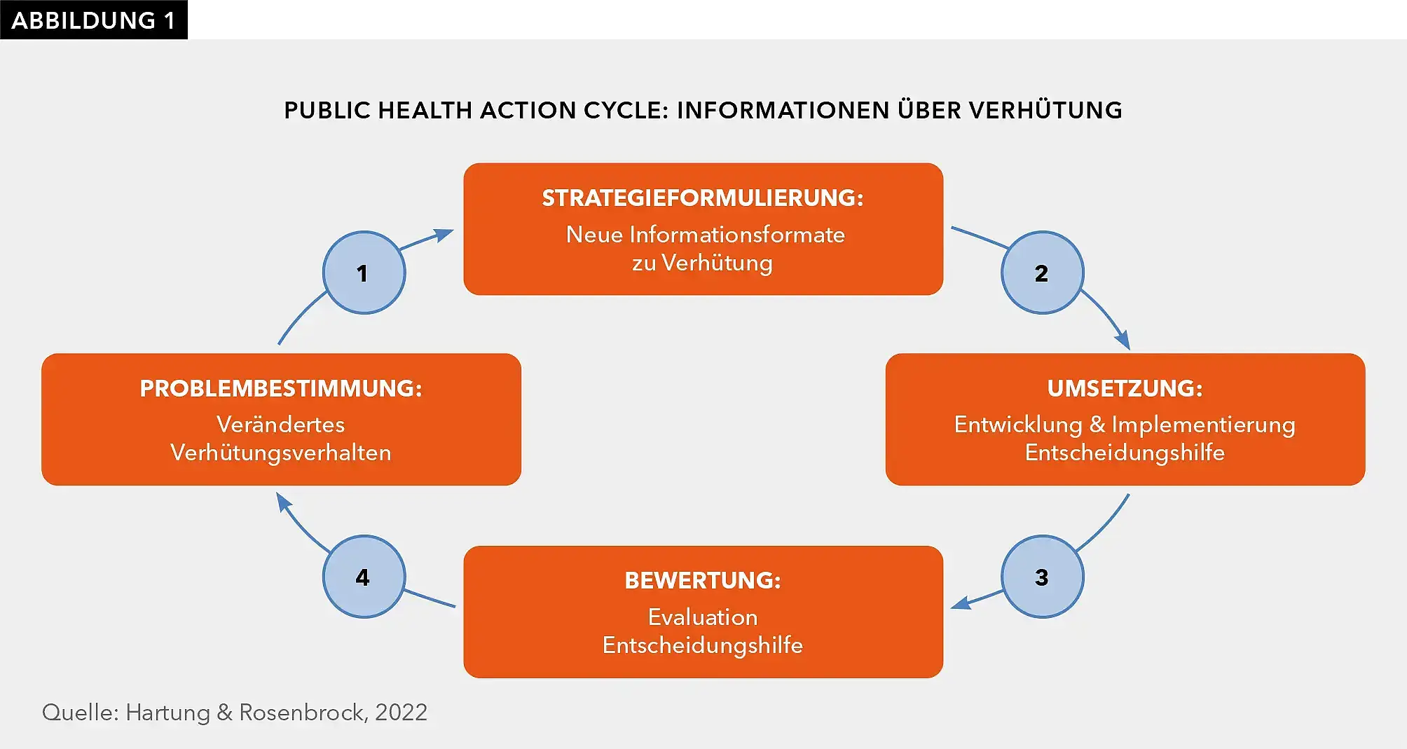 Abbildung 1 zeigt den Public Health Action Cycle nach Hartung und Rosenbrock (2022), dargestellt in Bezug auf die Entscheidungshilfe „Welche Verhütung passt zu mir?“. Die vier Phasen sind in Kreisform angeordnet und durch Pfeile verbunden. Die Phase im ersten Kasten heißt „Problembestimmung: Verändertes Verhütungsverhalten“. Von da aus geht ein Pfeil mit der Zahl 1 zum nächsten Kasten ab, der heißt: „Strategieformulierung: Neue Informationsformate zu Verhütung“. Von da aus geht ein Pfeil mit der Zahl 2 zum nächsten Kasten ab, mit dem Namen „Umsetzung: Entwicklung & Implementierung Entscheidungshilfe“. Von da aus geht ein Pfeil mit der Zahl 3 zum vierten und letzten Kasten ab, der bezeichnet ist mit „Bewertung: Evaluation Entscheidungshilfe“. Dieser Kasten ist wiederum mit einem Pfeil mit der Zahl 4 mit dem erstgenannten Kasten verbunden.