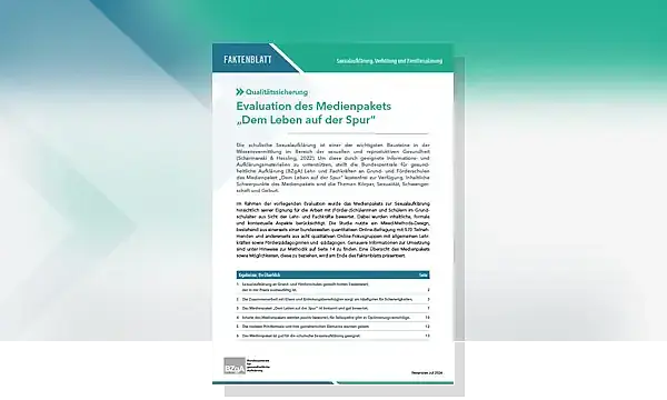 Abbildung des Faktenblatts