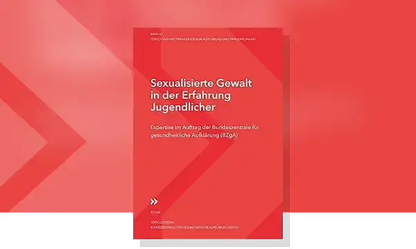 Cover zu Sexualisierte Gewalt in der Erfahrung Jugendlicher