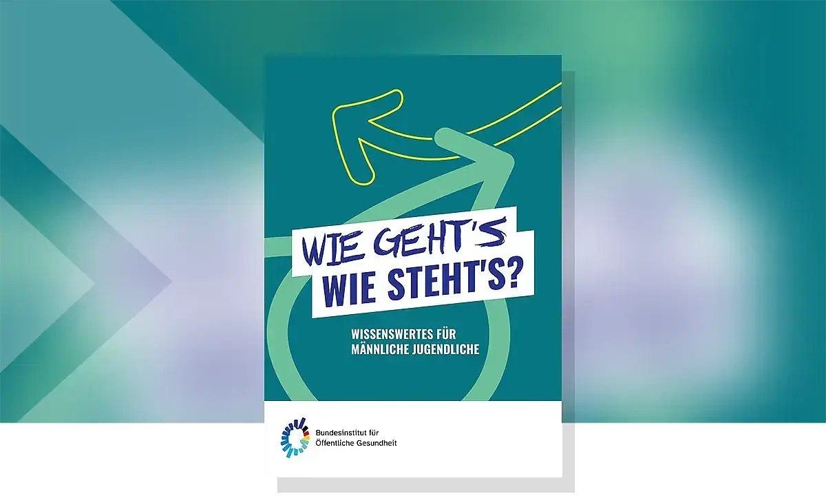 Das Bild zeigt das Cover der Broschüre Wie gehts, wie stehts