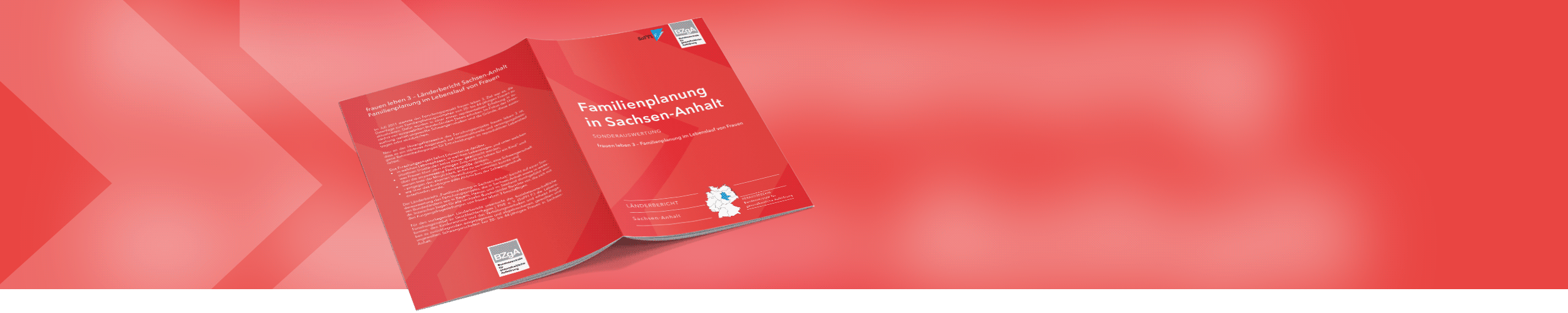 Bannerbild mit dem Cover des Länderberichts Sachsen-Anhalt