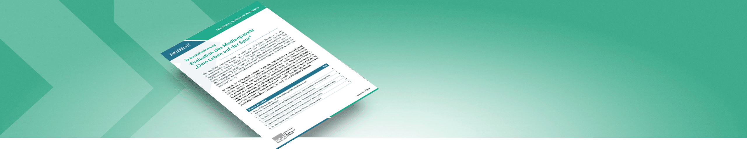Bannerbild mit dem Cover des Faktenblatts Evaluation Medienpaket dem Leben auf der Spur