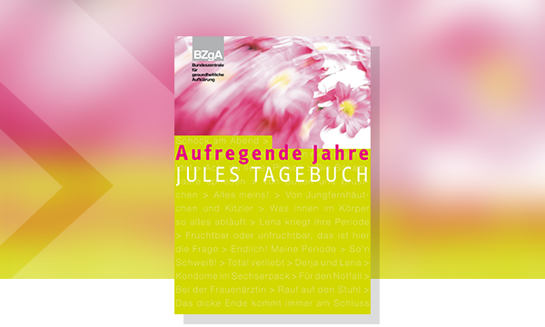 Cover der Publikation Aufregende Jahre - Jules Tagebuch