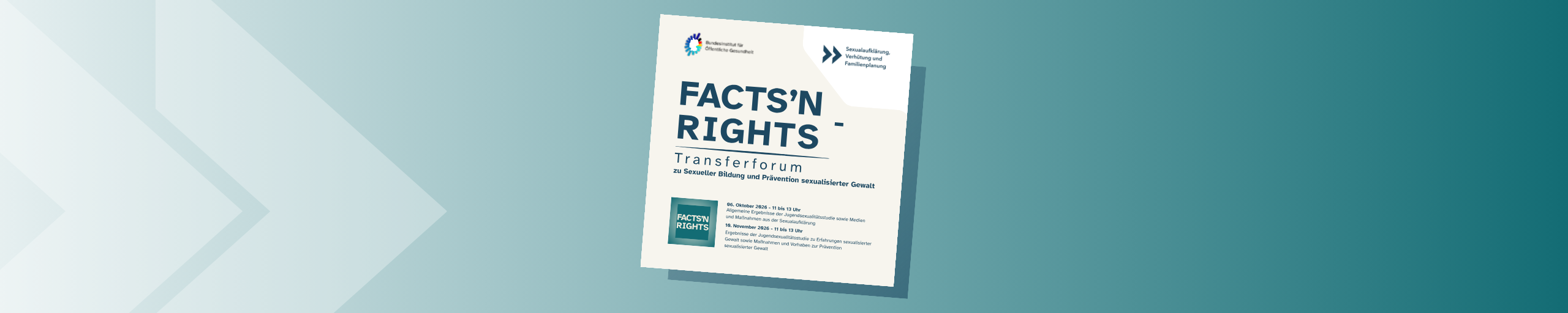 Bannerbild mit Schriftzug Facts'n Rights