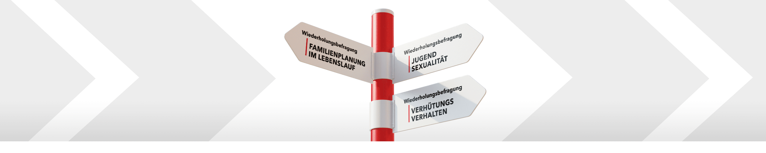 Bannerbild zu den Wiederholungsbefragungen Familienplanung im Lebenslauf, Jugendsexualität und Verhütungsverhalten