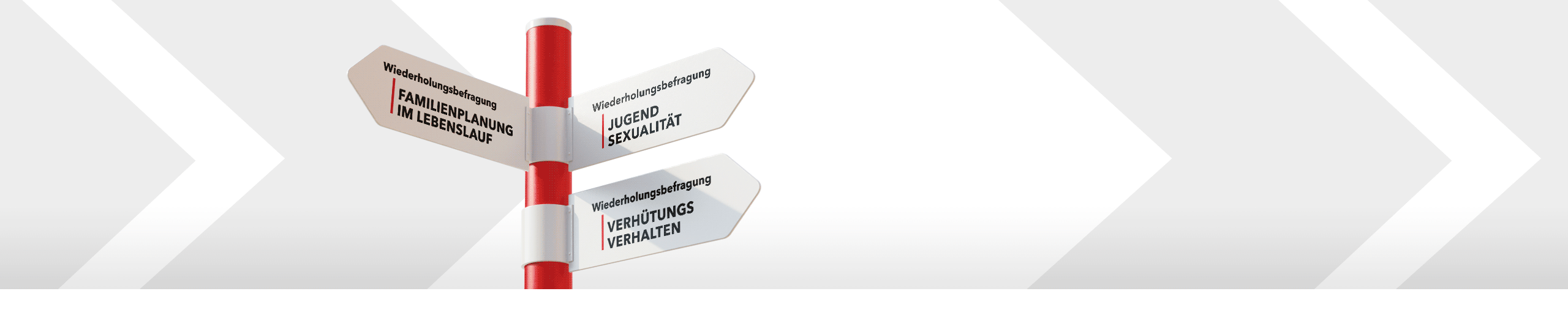 Bannerbild zu den Wiederholungsbefragungen Familienplanung im Lebenslauf, Jugendsexualität und Verhütungsverhalten