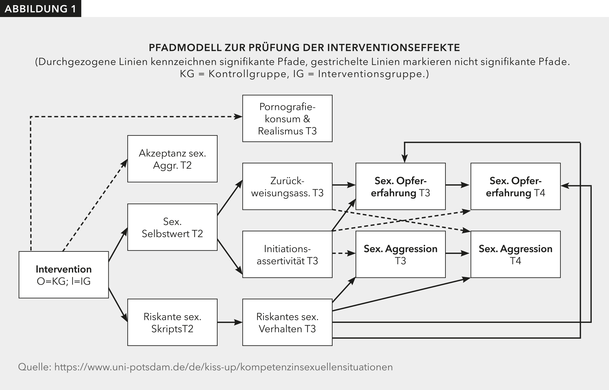 Abbildung 1 zeigt signifikante und nicht signifikante Auswirkungen der Interventionsprogramme.